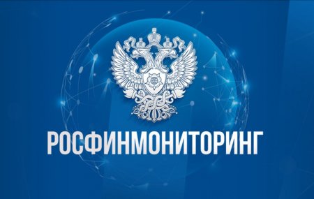 При содействии НП «ЛИЗИНГОВЫЙ СОЮЗ» Росфинмониторингом было подготовлено описание типологии данных правонарушений для размещения в Личных кабинетах лизинговых компаний