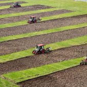 Росагролизинг учредил специальную номинацию в премии «Агроинвестор года – 2025»: истории успеха, рожденные в партнерстве