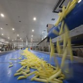 Росагролизинг поддерживает проекты в сфере переработки сельхозпродукции