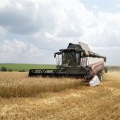 Росагролизинг в два раза нарастил поставки комбайнов